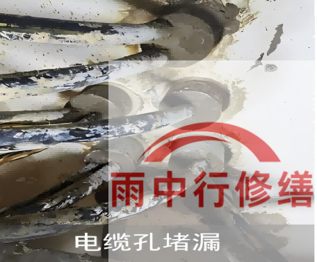 虹口电缆线空洞堵漏加固案例